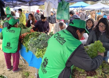 “El Mercado en tu Barrio” llega a Ciudad del Milagro con productos a precios accesibles