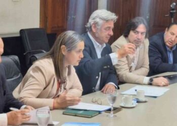 🌽 Retenciones cero: productores denuncian que el beneficio queda en manos de los grandes exportadores