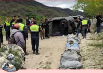 El Tala: Continúa la ola narco, vuelca una camioneta con 120 kilos de marihuana
