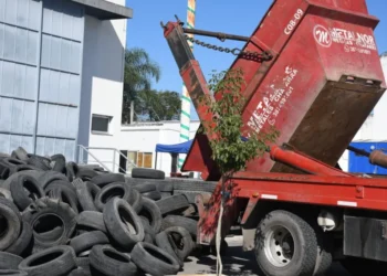 Hoy se realiza la 18° edición del Neumatón en la playa del CCM