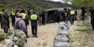 Otra caída en la “ola narco”: una camioneta con 120 kilos de marihuana volcó en El Tala