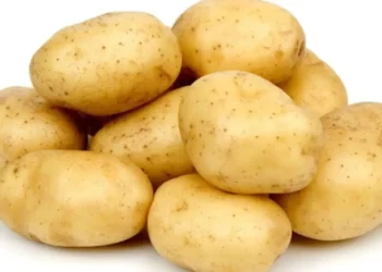 El precio de la papa se disparó en Salta y preocupa el impacto en la mesa familiar