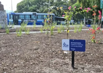 La Municipalidad avanza con tareas de parquización y mantenimiento en espacios verdes de la ciudad