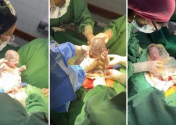 Un caso entre un millón: nacieron trigemelas en Salta