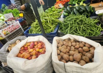 El Mercado San Miguel ofrece frutas y verduras más baratas esta semana